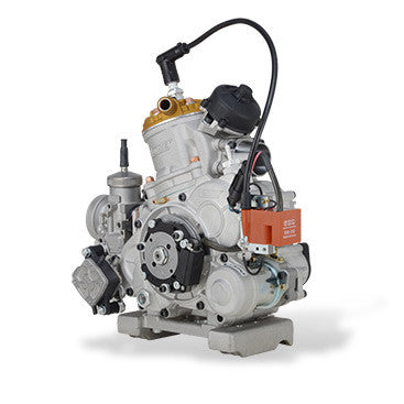 Vortex Rok GP Engine Package (Complete) | KartWorkz Inc.